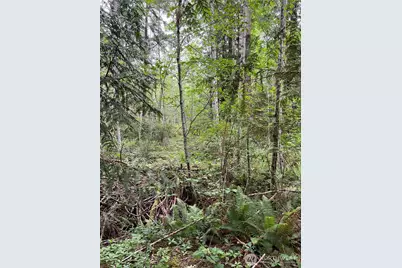 11111 Seabeck Highway, Bremerton, WA 98312 - Photo 3