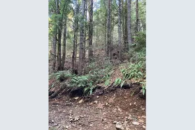 0 N Dow Ridge, Hoodsport, WA 98548 - Photo 5