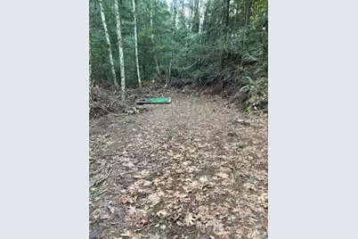 0 N Dow Ridge, Hoodsport, WA 98548 - Photo 1