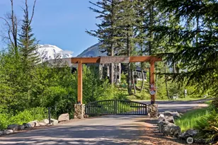 156 Burl Ln, Packwood, WA 98361 - Photo 31