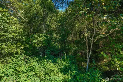 11601 212th Street E, Graham, WA 98338 - Photo 37