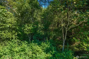 11601 212th St E, Graham, WA 98338 - Photo 37
