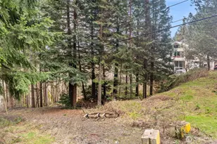 543 E Hazel St, Shelton, WA 98584 - Photo 3