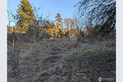 8208 8216 Canyon Road E, Puyallup, WA 98371 - Photo 21