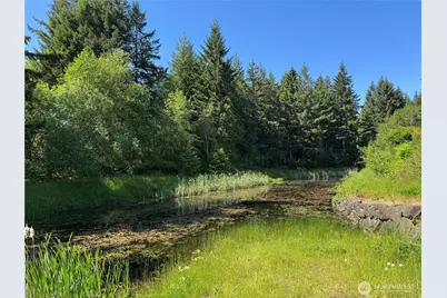1711 Cyrene Drive NW, Olympia, WA 98502 - Photo 15