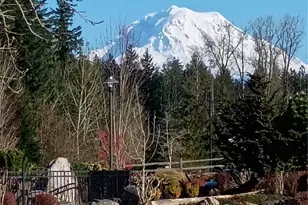 17913 150th St E, Bonney Lake, WA 98391 - Photo 37