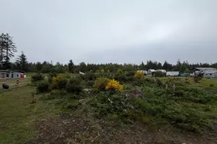 29880 T Ln, Ocean Park, WA 98640 - Photo 1