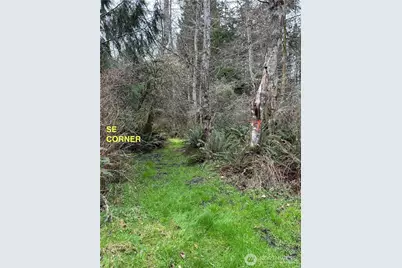 0 933600901, Port Townsend, WA 98368 - Photo 3