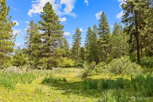 6750 Secret Canyon Rd, Ellensburg, WA 98926 - Photo 33