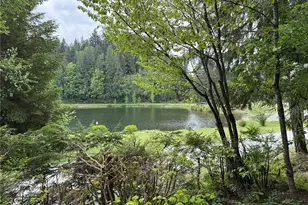 44813 Kla-Ha-Nei Trail, Concrete, WA 98237 - Photo 3