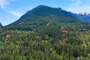 12619 444th Ave SE, North Bend, WA 98045 - Photo 3