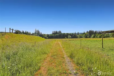 447 Boistfort Road, Curtis, WA 98538 - Photo 5