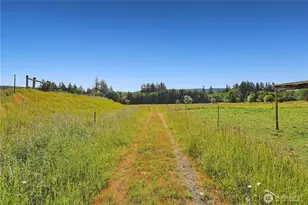 447 Boistfort Rd, Curtis, WA 98538 - Photo 5