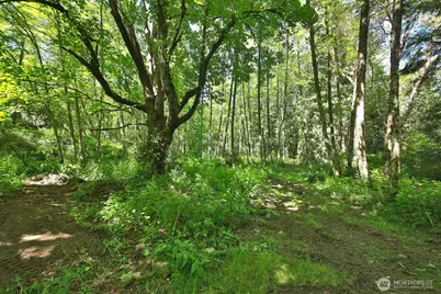 0 Foxglove, Langley, WA 98260 - Photo 1