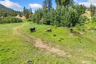 3296 Silver Creek Rd, Inchelium, WA 99138 - Photo 35