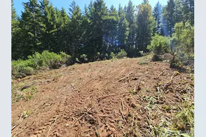 400 Xxx Southridge Drive, Belfair, WA 98528 - Photo 3
