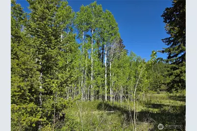 393 Summer Road, Tonasket, WA 98855 - Photo 17