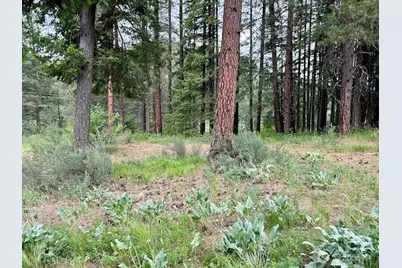 15425 Chumstick Highway, Leavenworth, WA 98826 - Photo 5