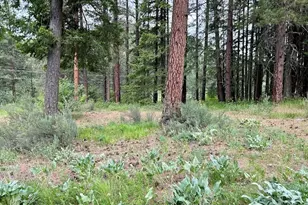 15425 Chumstick Hwy, Leavenworth, WA 98826 - Photo 5