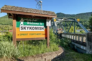 11857 Tye River Rd NE, Skykomish, WA 98288 - Photo 39