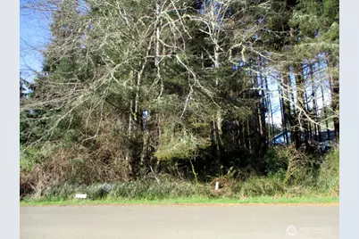 111 Olympic View Avenue NE, Ocean Shores, WA 98569 - Photo 7