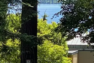 9100 Lake Washington Blvd NE, Bellevue, WA 98004 - Photo 5