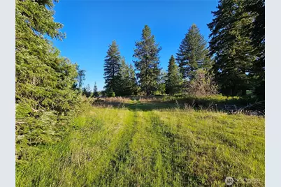 2 Xxxx E Eloika Lake Road, Deer Park, WA 99006 - Photo 5