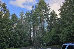 152 Racoon Rd, Sequim, WA 98382 - Photo 3