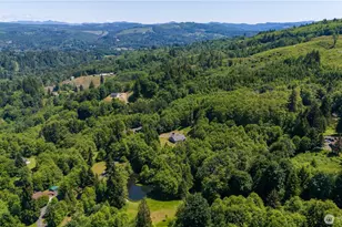 272 Trout Lakes Rd, Castle Rock, WA 98611 - Photo 39