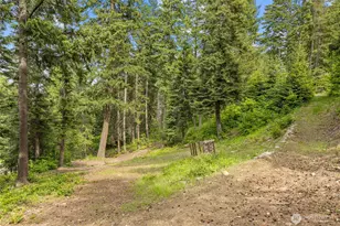 1771 Timber Mountain Loop, Cle Elum, WA 98922 - Photo 37