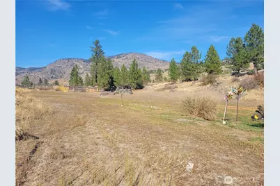 20 Round Up Road, Oroville, WA 98844 - Photo 31