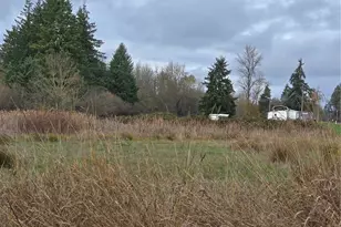 1466 Ferrier Rd, Winlock, WA 98596 - Photo 33