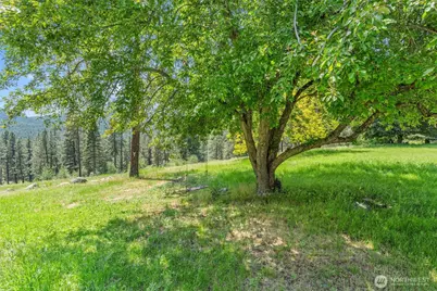 970 C Kitt Narcisse Road, Colville, WA 99114 - Photo 37