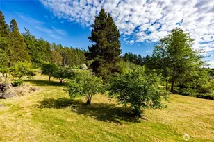 206 Hawthorne Ln, Friday Harbor, WA 98250 - Photo 23