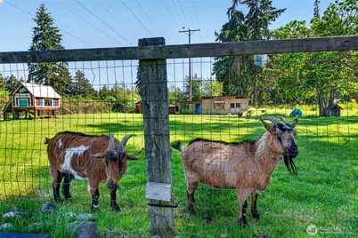 22814 46th Avenue E, Spanaway, WA 98387 - Photo 29