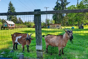 22814 46th Ave E, Spanaway, WA 98387 - Photo 29