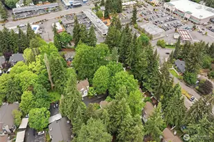 10123 NE 135th Ln, Kirkland, WA 98034 - Photo 35