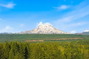 12817 Kapowsin Highlands Dr E, Graham, WA 98338 - Photo 35