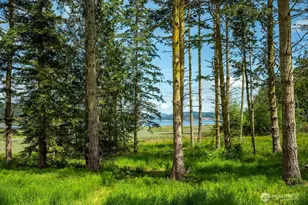 3757 Mud Bay Rd, Lopez Island, WA 98261 - Photo 31