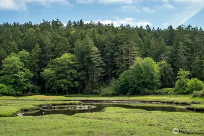 3757 Mud Bay Road, Lopez Island, WA 98261 - Photo 33