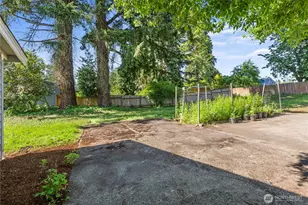 1029 McCormick St NE, Olympia, WA 98506 - Photo 37