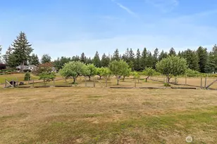 2315 262nd St Ct E, Spanaway, WA 98387 - Photo 37