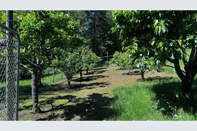 41216 305 Avenue SE, Enumclaw, WA 98022 - Photo 29