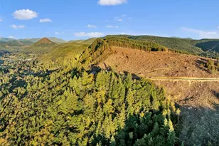 39904 NE Rotschy Rd, Yacolt, WA 98675 - Photo 39