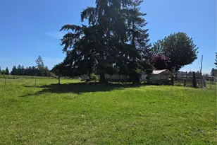 205 Nikula Rd, Winlock, WA 98596 - Photo 11