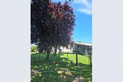 205 Nikula Road, Winlock, WA 98596 - Photo 3