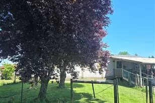 205 Nikula Rd, Winlock, WA 98596 - Photo 3