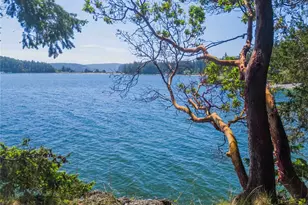 755 Ferry Rd, Lopez Island, WA 98261 - Photo 7