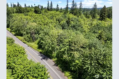 0 Lewisville Highway, Yacolt, WA 98675 - Photo 9