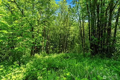 0 Lewisville Highway, Yacolt, WA 98675 - Photo 5